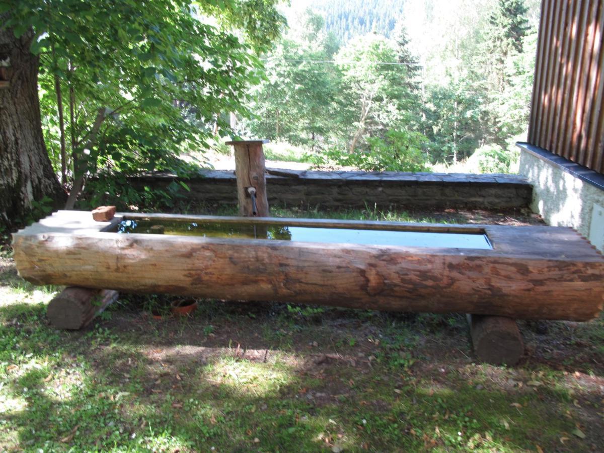 Forsthaus Glashuette Schaueregg Bagian luar foto